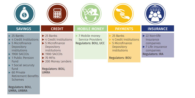 Financial inclusion optimism