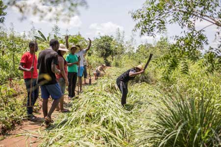 W.African farm 'bootcamp' gets green entrepreneurs into shape.