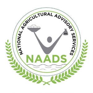 Naads Starts Verification Of Atiak Sugar Project Beneficiaries