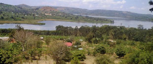 Lake Kijanebarola Archives - The Independent Uganda: